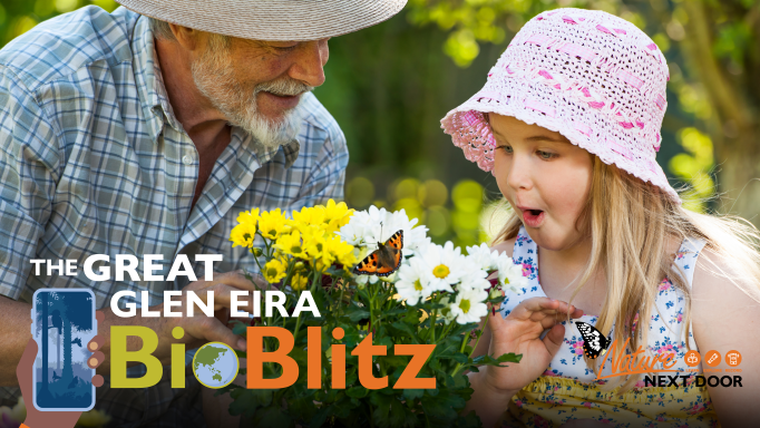 The great Glen Eira Bio Blitz