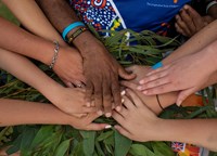 Hands of various skin colours connecting over gum leaves.