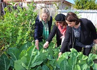 Women looking at a veggie patch