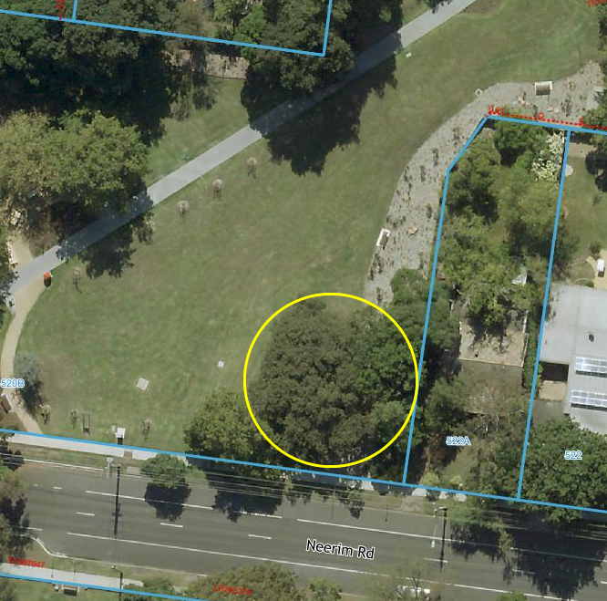 184/CTR/2021 - Springthorpe Gardens | Glen Eira City Council