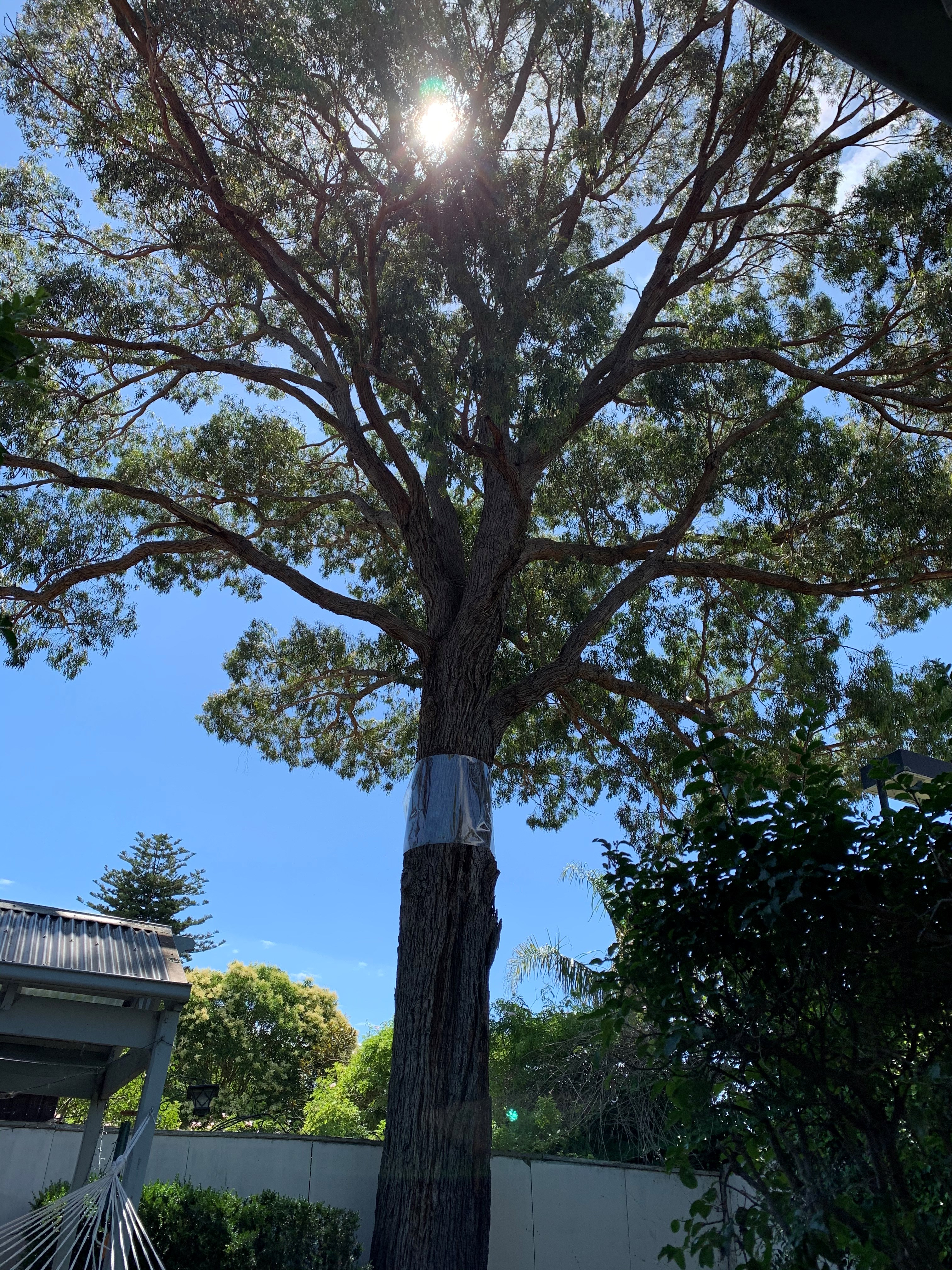 65/CTR/2020 - Hawson Avenue | Glen Eira City Council