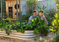 Father and son gardening