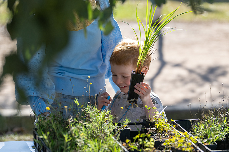 Child with a plant at out plant give away
