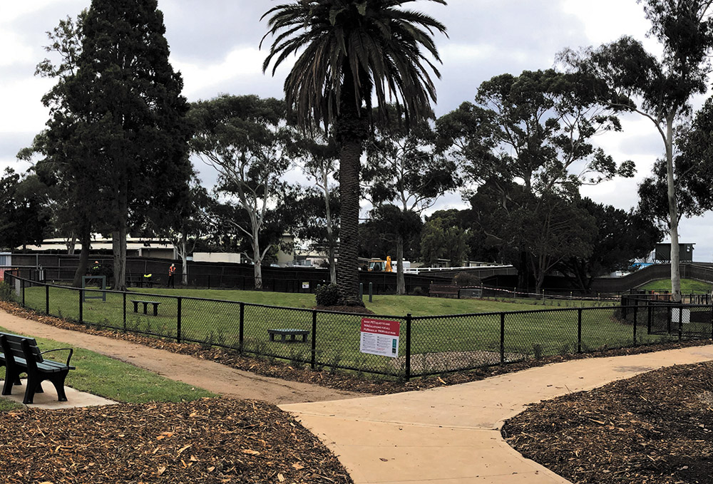 Dog park in Caulfield
