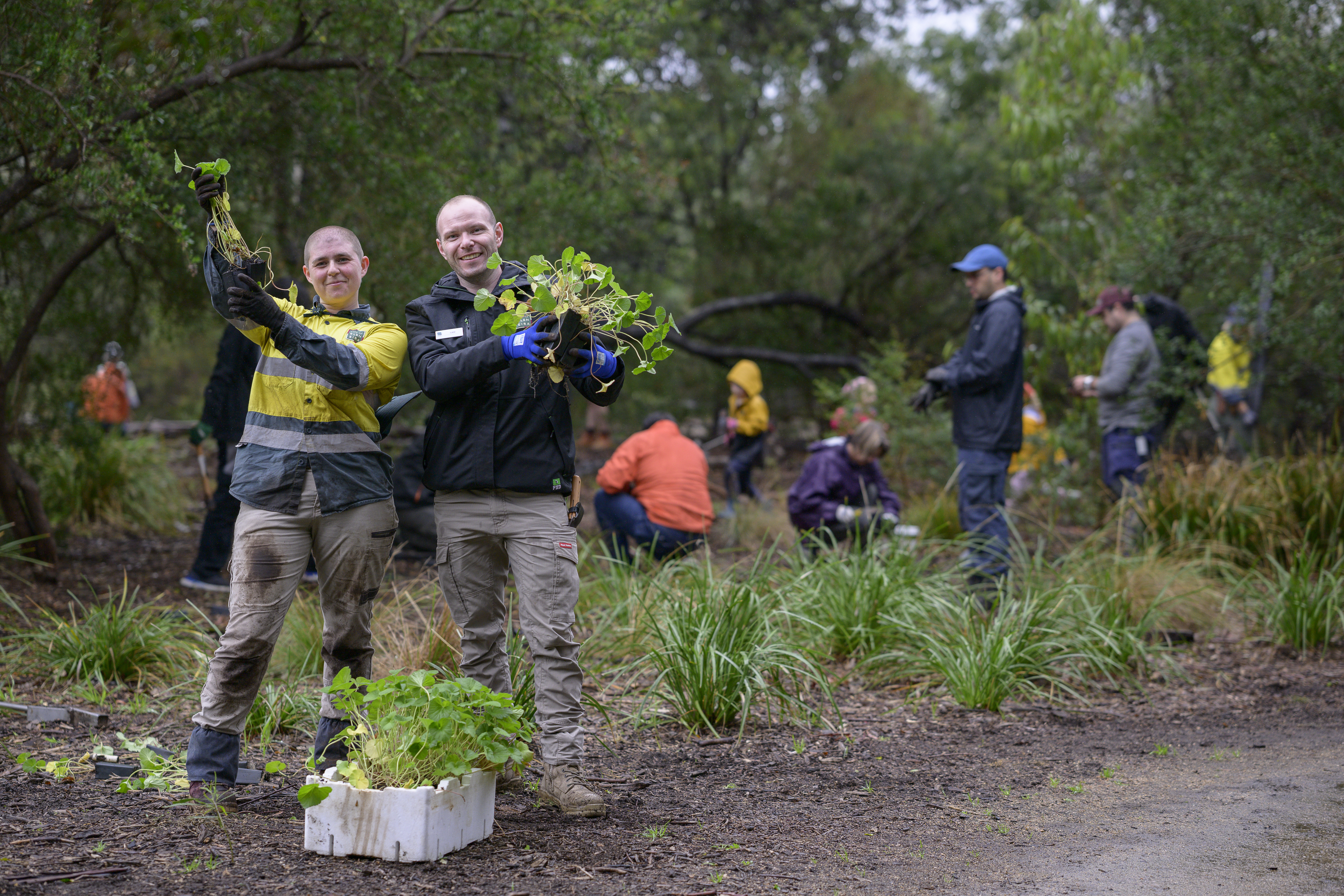 Staff and community members planting plants