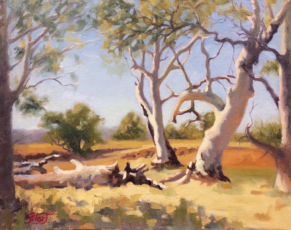 Pilar De La Torre | Dry river bed, Flinders Ranges | Oil on linen panel | 40x50cm