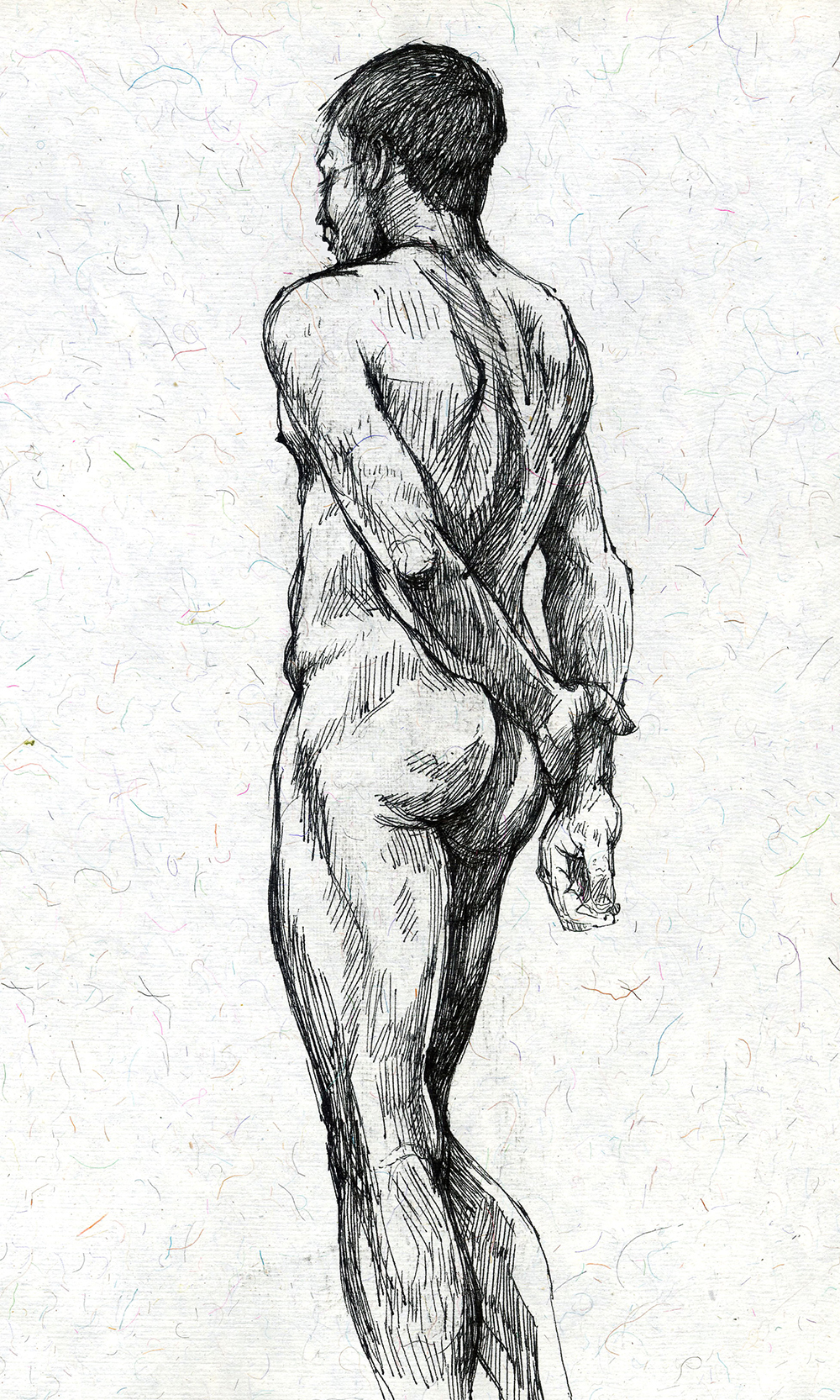 Male Nude Standing
