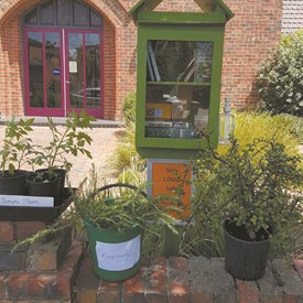 Books in a green glass-doored street library and free plants