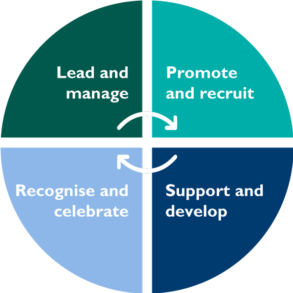 A pie chart showing four pieces that reads: Lead and manage, promote and recruit, support and develop, and recognise and celebrate.