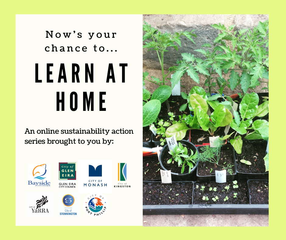 Now's your chance to learn at home. An online sustainability action series brought to you by Bayside City Council, City of Glen Eira, City of Monash, City of Kingston, City of Yarra, City of Stonington and City of Port Philip.