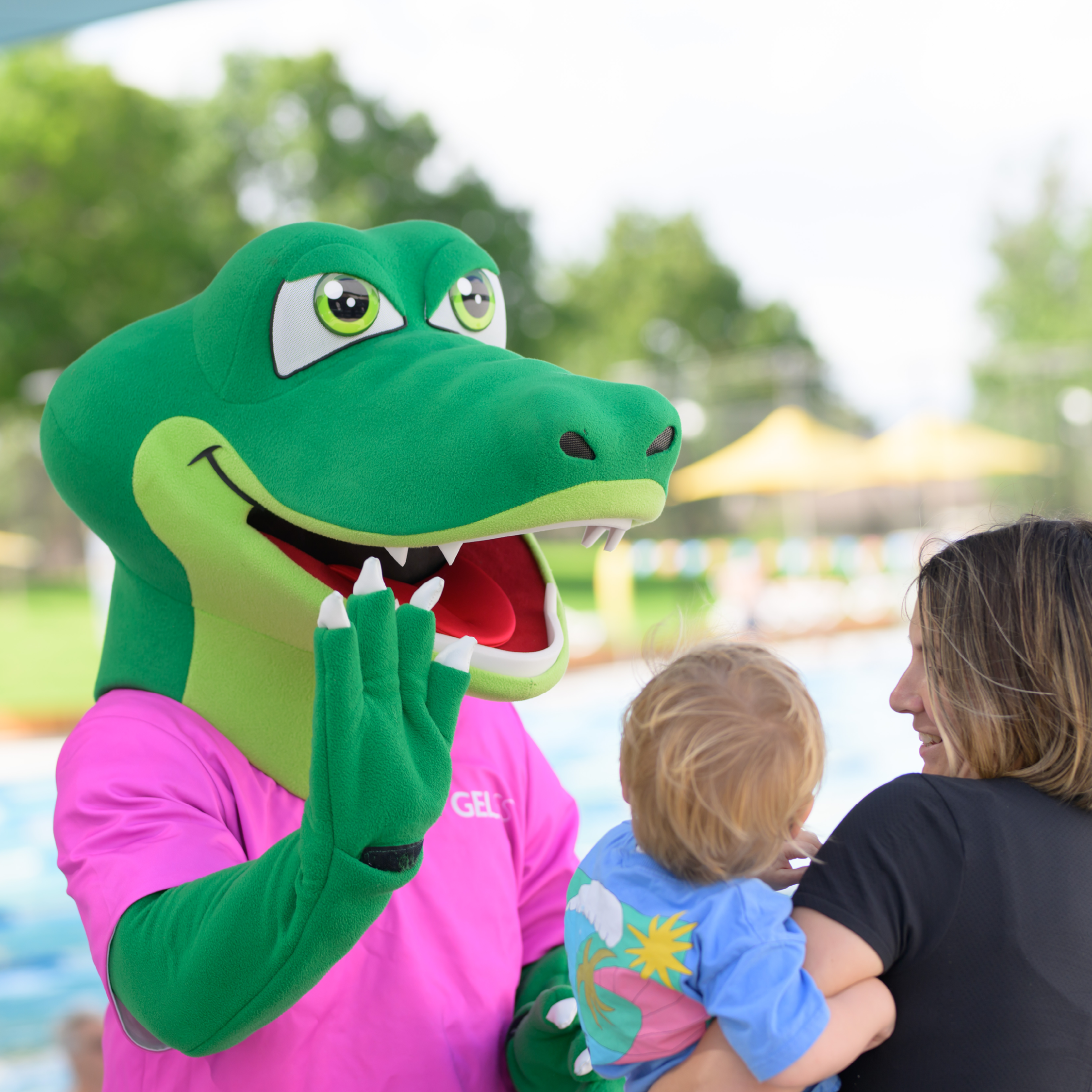 Annual report 2024-25