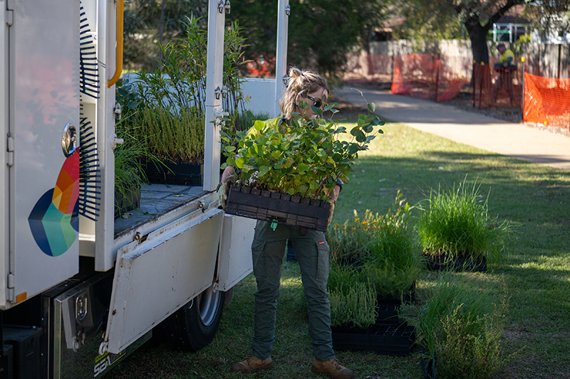 person unloading plants off the truck