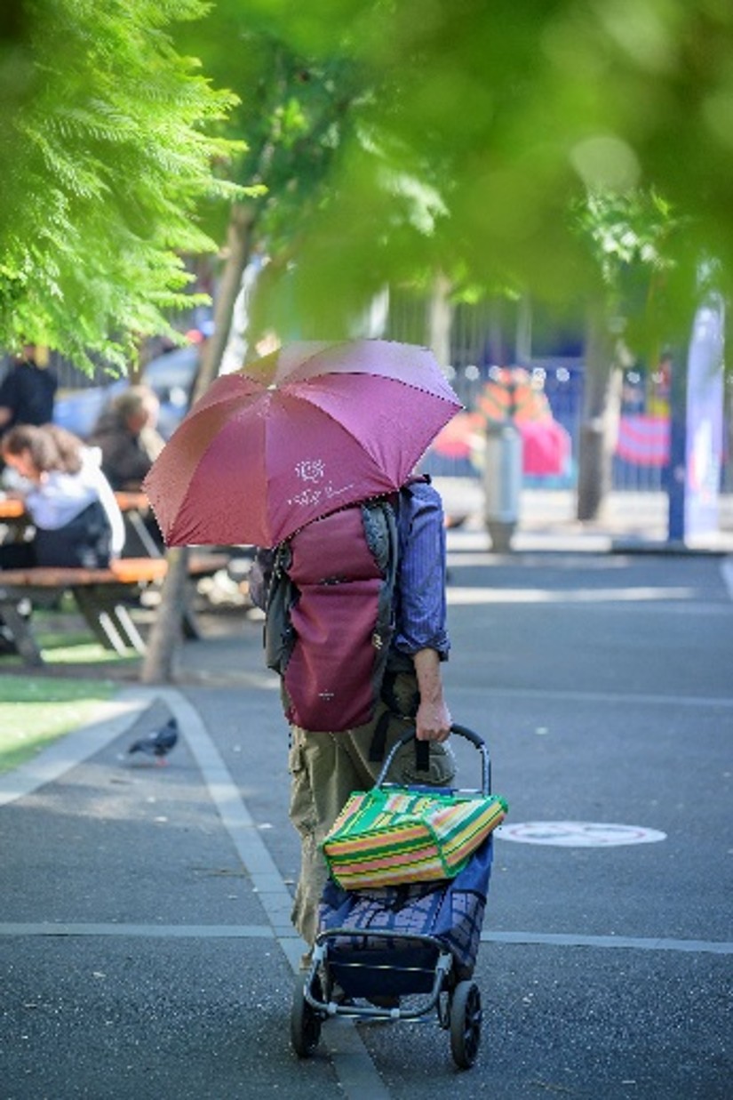 Person walking along a shaded street carrying an umbrella and pulling a shopping trolley during hot weather.