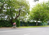 Cyclist riding down the road