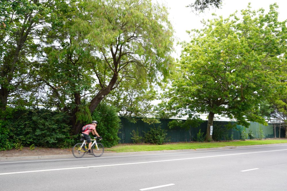 Cyclist riding down the road