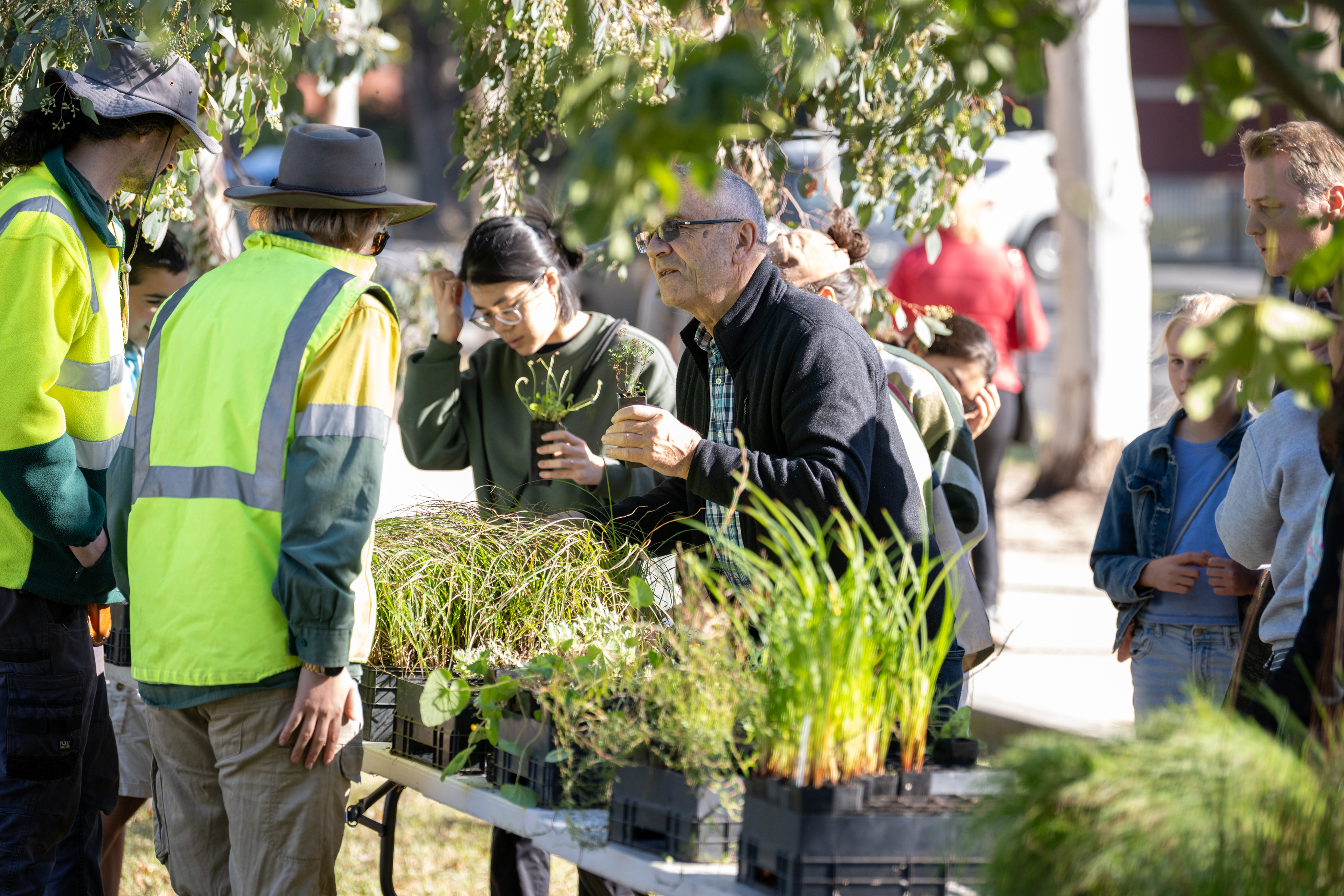 Women looking at a plant to take home