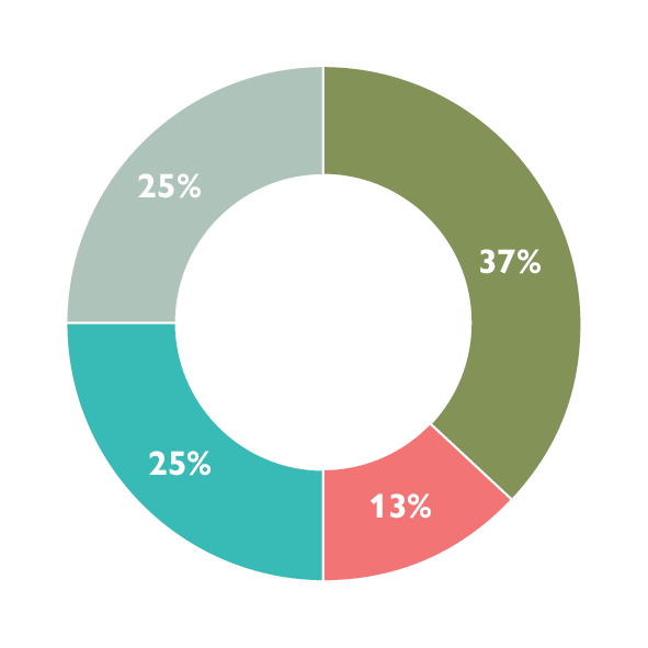 A donut chart showing our strategic indicators for Environmental stewardship: a green at 37 per cent on track, an aqua segment at 25 per cent annual measure, a red segment at 13 per cent to monitor, and light teal at 25 per cent of indicators not set.