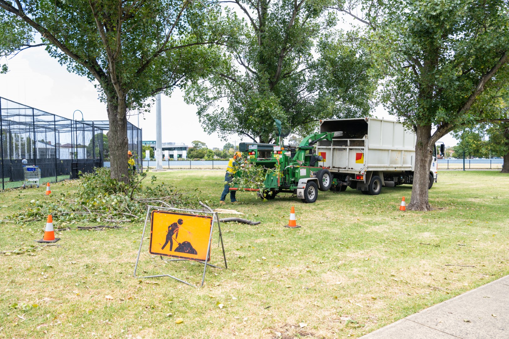 Truck clearing branches