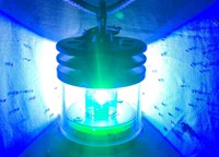 Blue light attracting insects