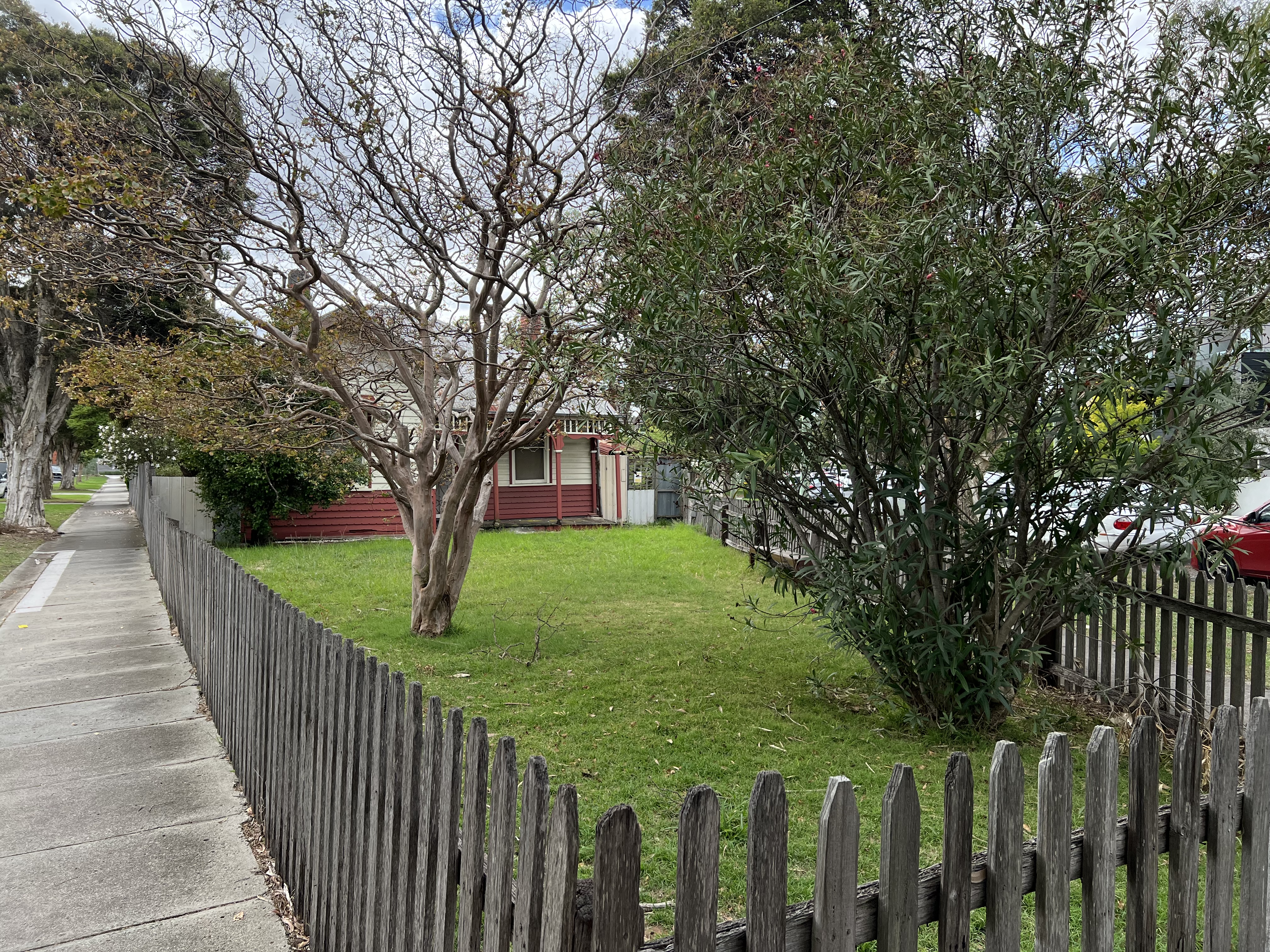 Mimosa Road, Carnegie