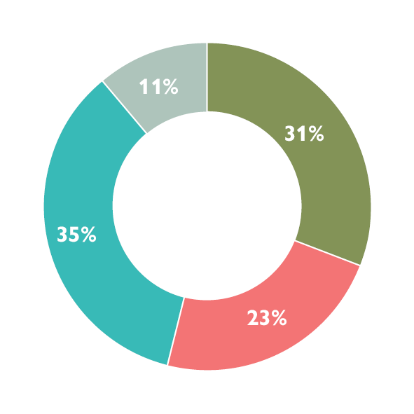 A donut chart showing our strategic indicators: an aqua segment at 35 per cent annual measure, a green segment at 31 per cent on track, a red segment at 23 per cent to monitor, and light teal segment at 11 per cent of indicators not set or reported every three years.