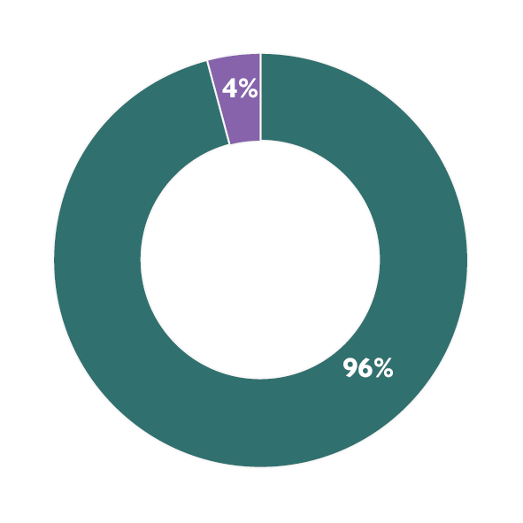 A donut chart showing our actions for Community safety, cohesion, health and wellbeing: a green segment representing 93 per cent in progress and a purple segment at 4 per cent completed.