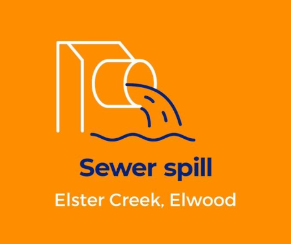 Sewer spill in Elster Creek, Elwood. 