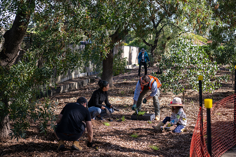 Staff and community members planting plants