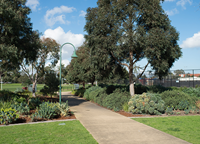 Bentleigh Hodgson Reserve