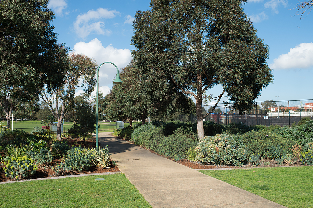 Bentleigh Hodgson Reserve
