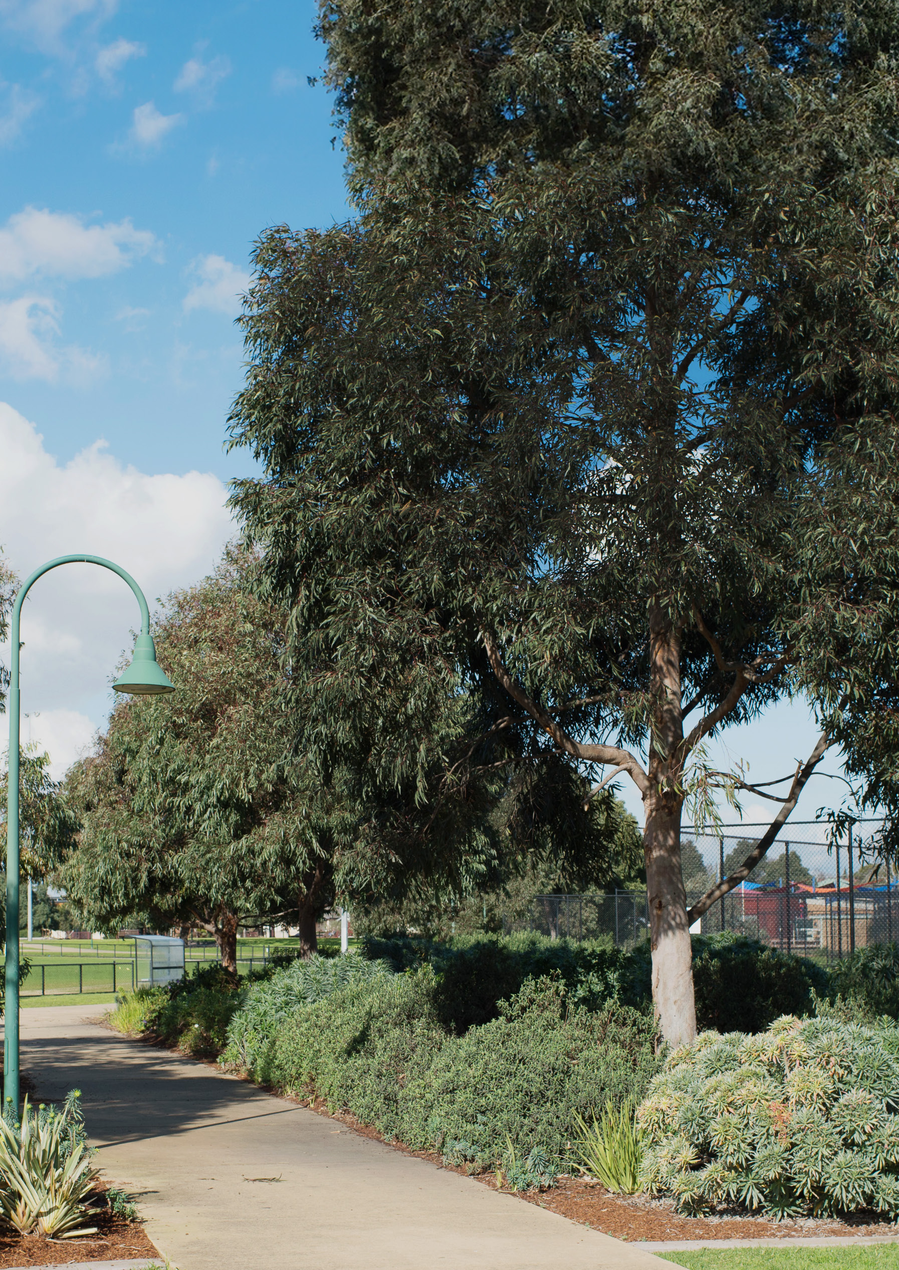 HODGSON RESERVE, BENTLEIGH