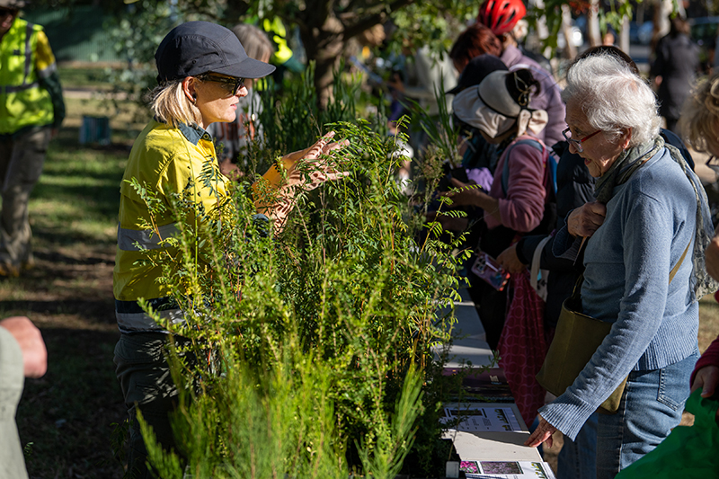 Staff talking with community member about gardening