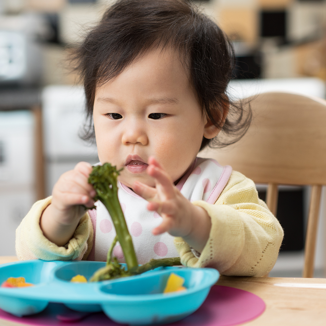 Baby girl in a highchair eating broccolini