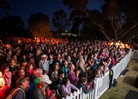 Community members enjoying Party Under the Stars event 2024