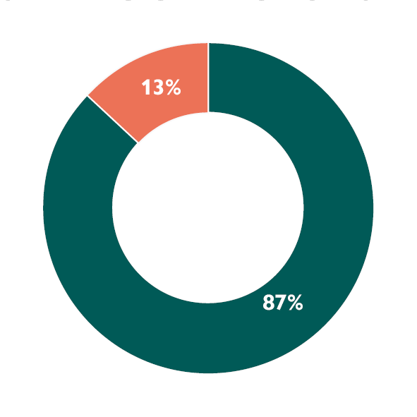 A donut chart showing our actions for Environmental stewardship: a green segment representing 87 per cent in progress and an orange segment at 13 per cent to monitor.