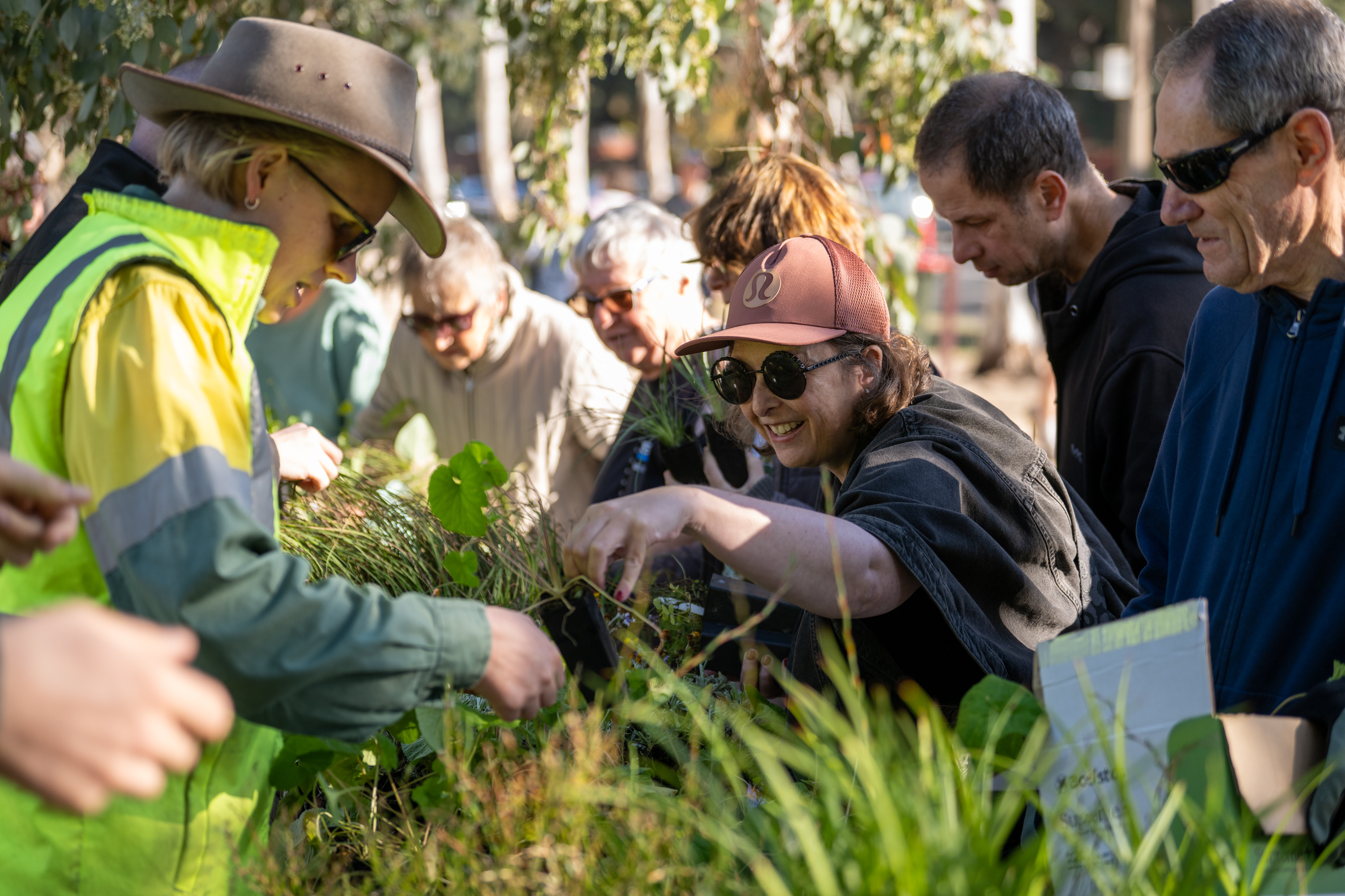 A group of people gathered outdoors around a table of plants, selecting and handling seedlings and greenery during what appears to be a community plant‑giveaway or gardening event. Tall trees and sunlight filter through the background as participants reach toward trays of plants, assisted by a person in a high‑visibility vest and wide-brimmed hat.