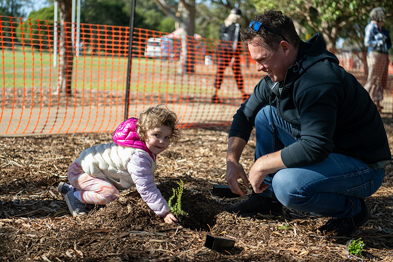 Father and daughter planting a shrub
